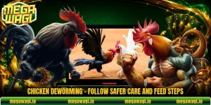 Chicken Deworming - Follow Safer Care And Feed Steps