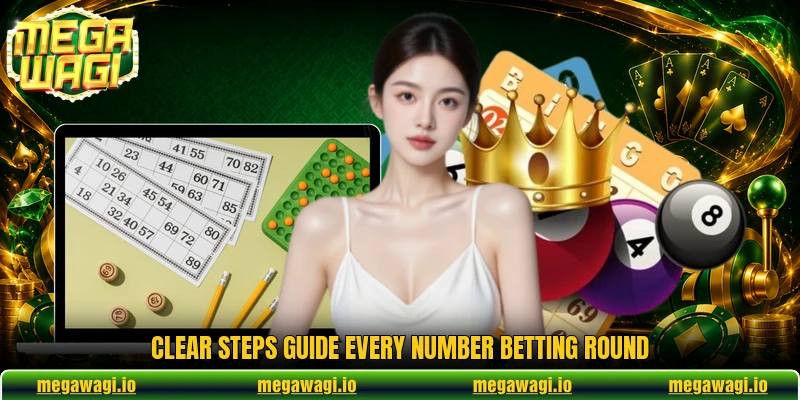 Clear steps guide every number betting round
