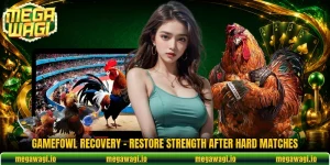 Gamefowl Recovery - Restore Strength After Hard Matches