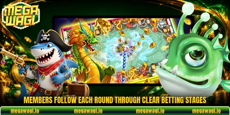 Members follow each round through clear betting stages Members follow each round through clear betting stages