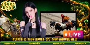 Worm Infestation Chicken - Spot Signs And Care Needs